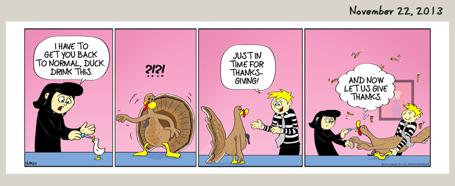 Turkey Duck (11222013)