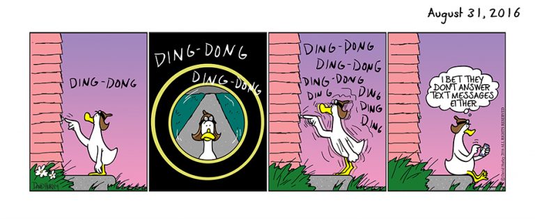 Doorbell (08312016)