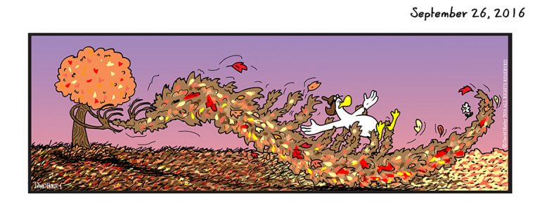 Leaf Surfing (09262016)