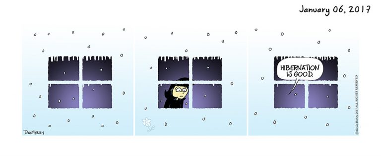 Hibernation (01062016)