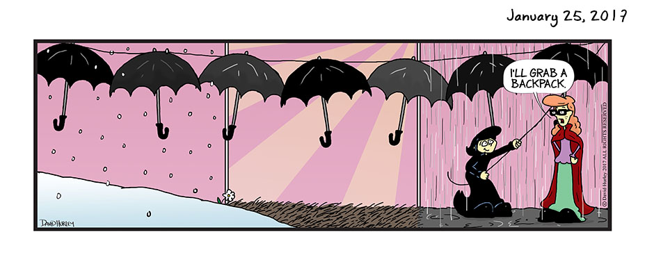 Umbrellas Come In Handy (01252017)