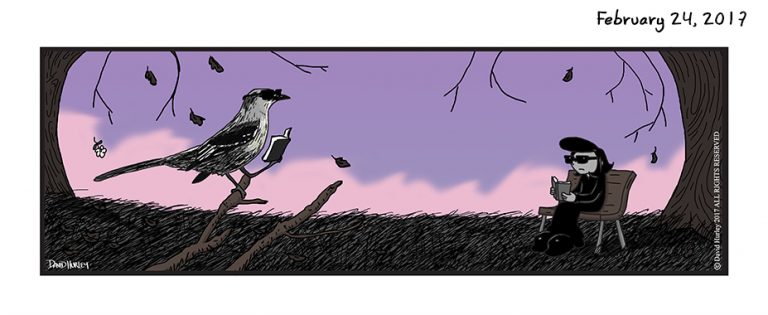 Mockingbird (02242017)