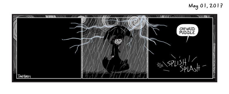 Walking In The Rain (05012017)