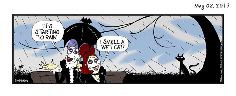 Rainy Day Cat (05032017)