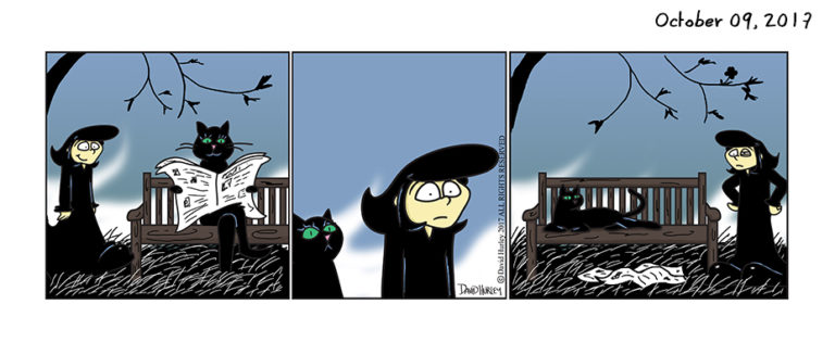 Cat In The Wild (10092017)