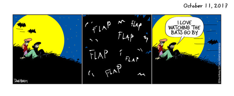Bat Watching (10112017)