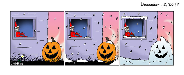 Snow Pumpkin (12132017)