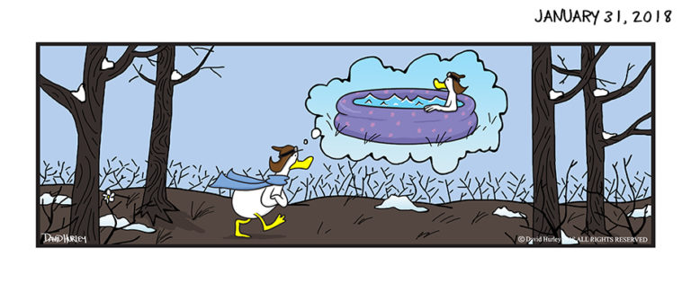 Ducks Day Dream (01312018)