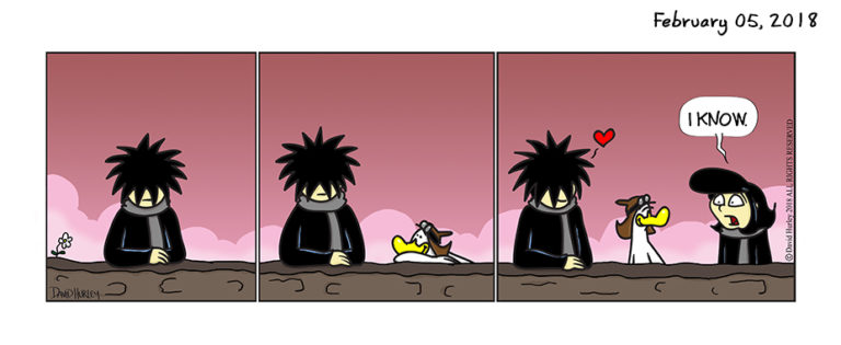 Duck Approves (02052018)