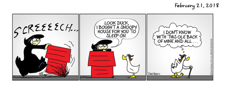 Dog House (02212018)