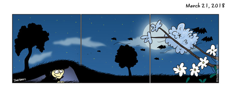 Night Springs (03212018)
