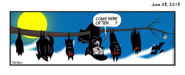 Hanging With The Bats (06082018)