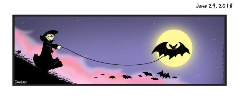 Bat Walk (06292018)