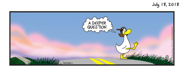 Duck Crosses the Road (07182018)