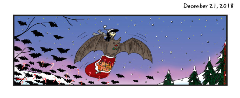 Christmas Flight (12212018)