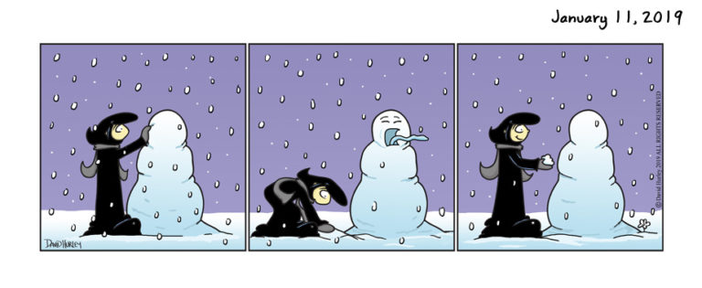 Catching Snowflakes (1112019)