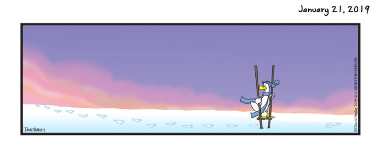 Snow Walk (01212019)