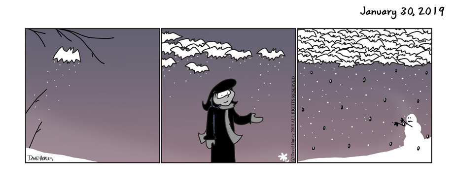 Snow Bat Clouds (01302019)