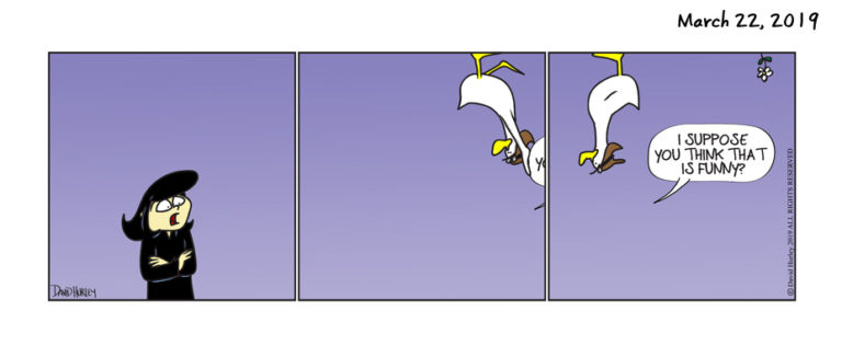 Duck Move (03222019)