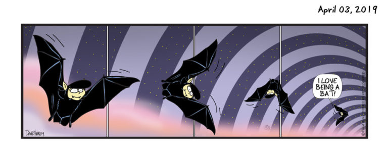 Bat Spin (04032019)