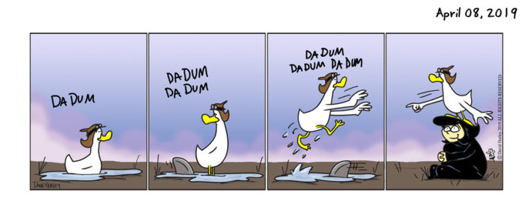 Puddle (04082019)