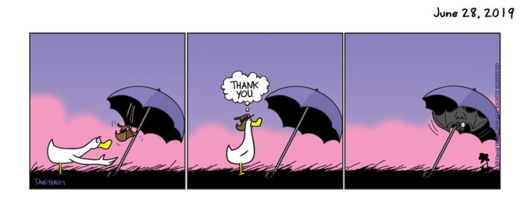 Hat Back, Bat (06282019)