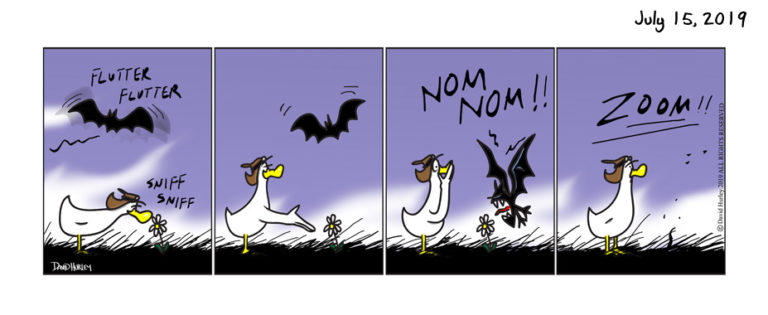 Nom Nom Bat (07152015)