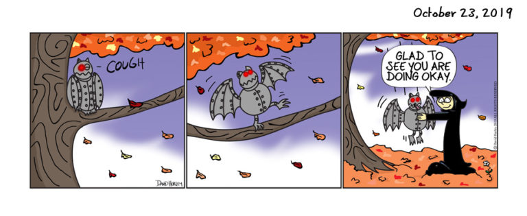 Bat Fall (10232019)