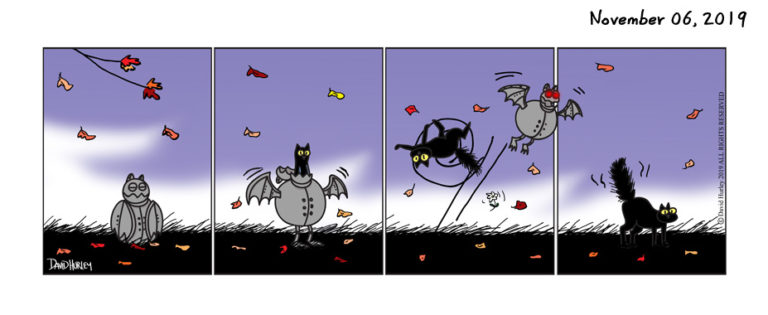 Cat’s Always Land on Their Feet (11062019)