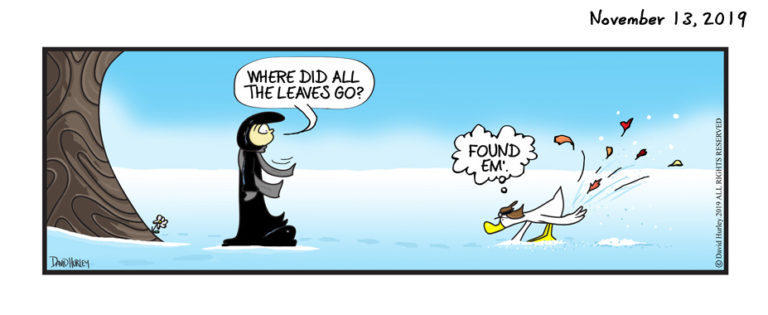 Leaf Treasure (11132019)