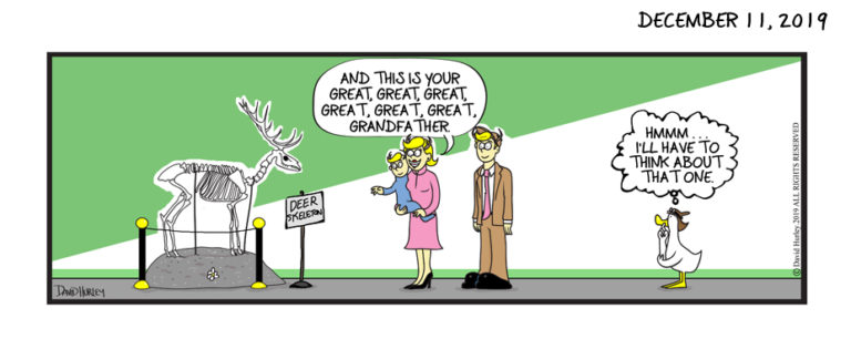Great GrandDear at the Deer Museum (12112019)