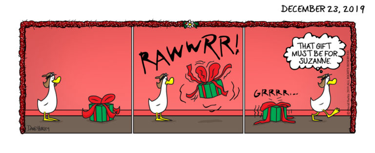 Suzanne’s Gift (12232019)