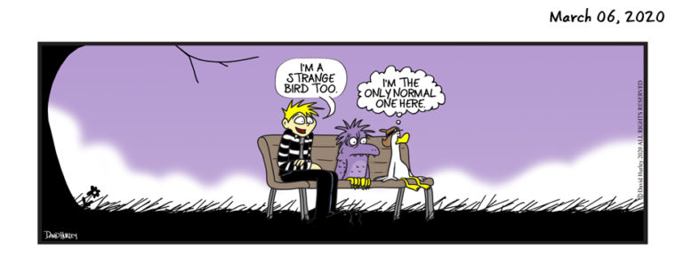 Strange Bird (03062020)