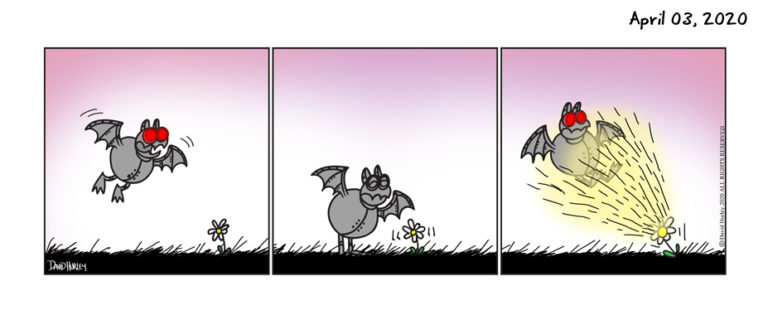 Robo Pollen (04032020)
