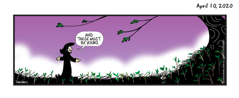 The Saplings (04102020)
