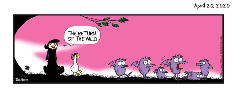 Wild Return (04202020)
