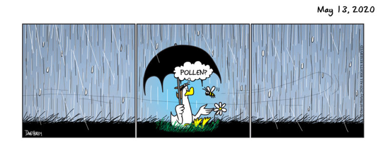 Pollen? (05132020)
