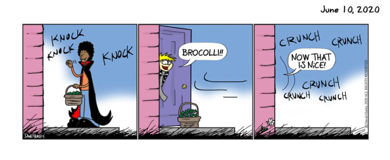 Broccoli Basket (06102020)