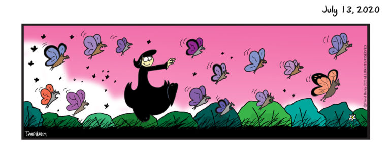 Chasing ButterBats (07132020)