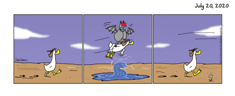Sometimes You Gotta Fly (07202020)