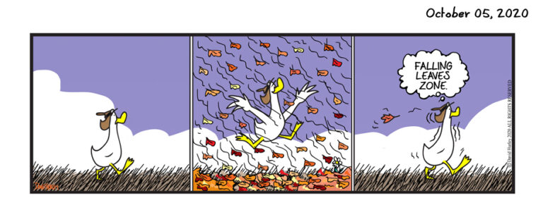 Falling Leaf Zone (10052020)