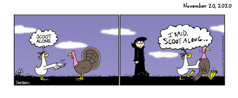 Turkey Season  (11202020)