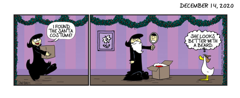 Santa Beard (12142020)