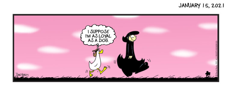 A Loyal Duck (01152021)