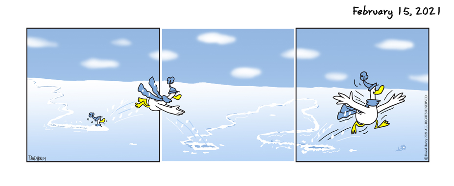Snow Duck (02152021)
