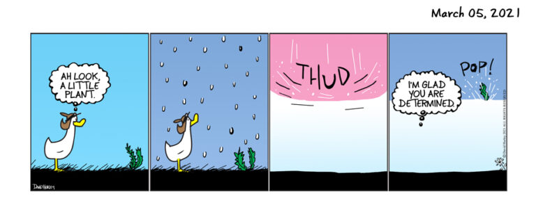 Thud (03052021)