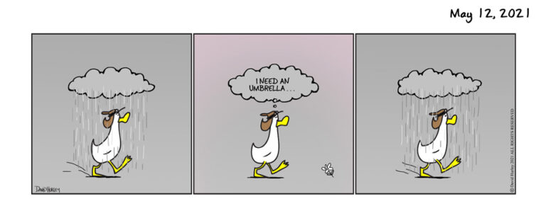 Rainy Thoughts (05122021)