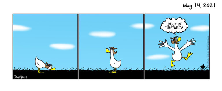 Duck In The Wild (05142021)