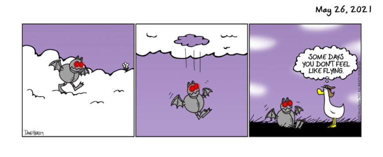 Flying Days (05262021)