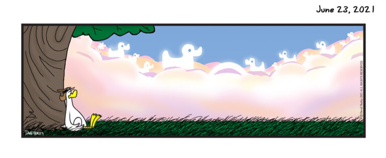 Duck Shapes (06232021)